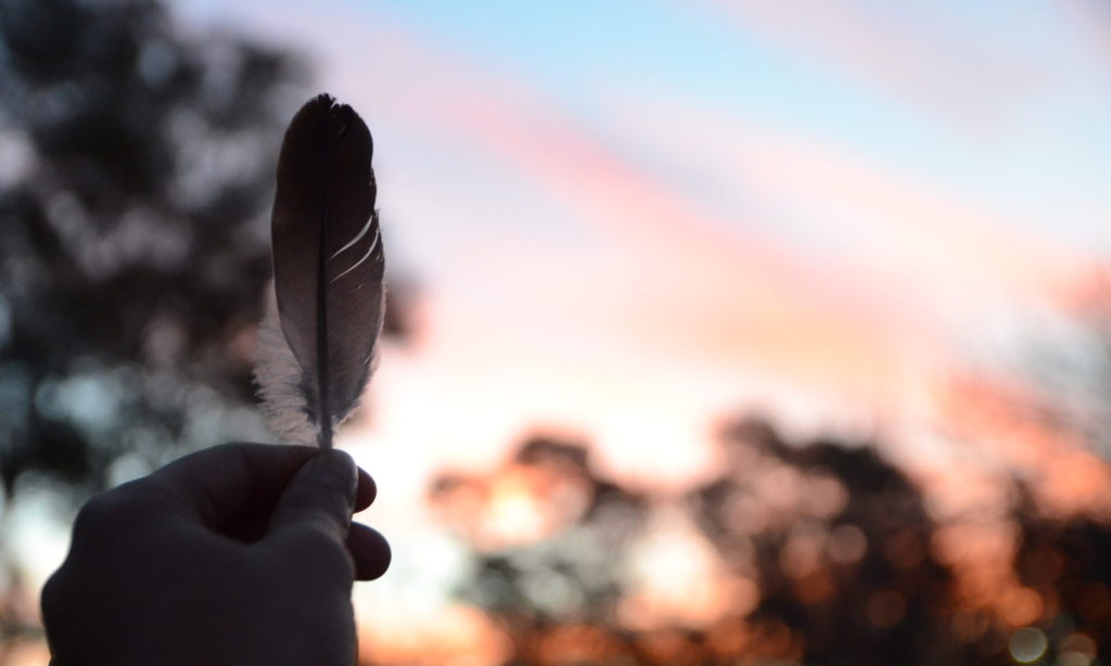 cropped-feather-hand-beautiful-park-sky-sunlight-1432993-pxhere.com_-1024x614